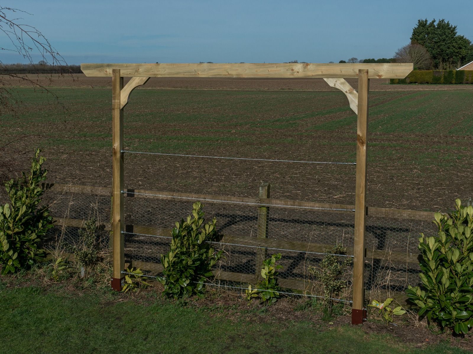 Screen Pergola, Plant Climbing Arbour - Chamfered Sculpted Brace - Image 2