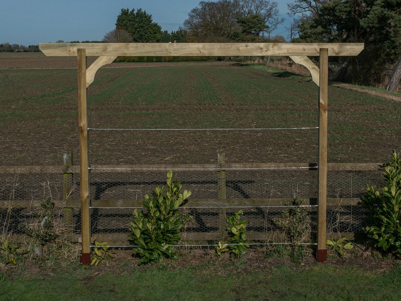 Screen Pergola, Plant Climbing Arbour - Chamfered Sculpted Brace - Image 5