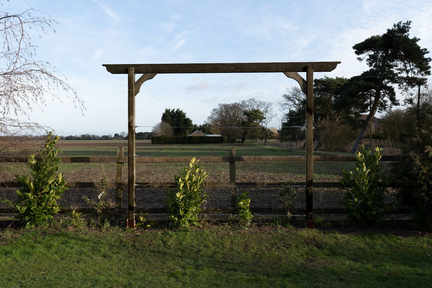 Screen Pergola, Plant Climbing Arbour - Longhorn Sculpted Brace - Image 2